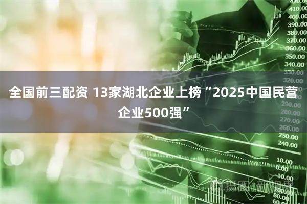 全国前三配资 13家湖北企业上榜“2025中国民营企业500强”