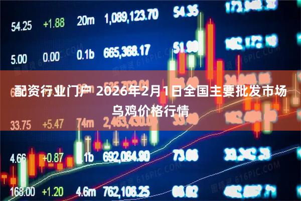 配资行业门户 2026年2月1日全国主要批发市场乌鸡价格行情
