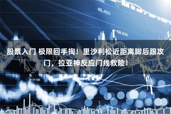 股票入门 极限回手掏！里沙利松近距离脚后跟攻门，拉亚神反应门线救险！