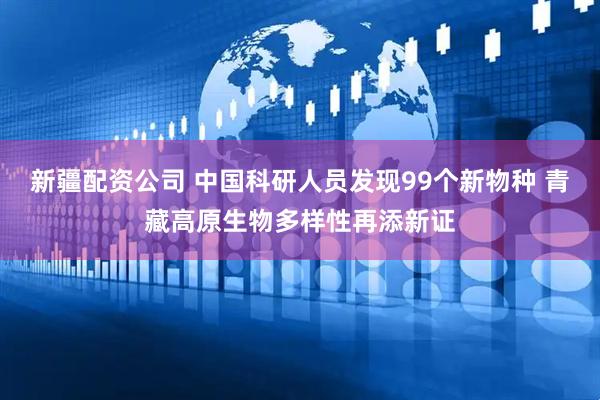 新疆配资公司 中国科研人员发现99个新物种 青藏高原生物多样性再添新证